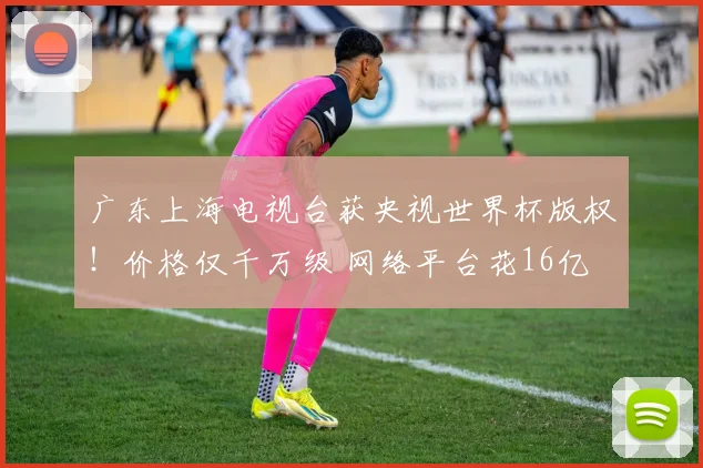 广东上海电视台获央视世界杯版权！价格仅千万级 网络平台花16亿